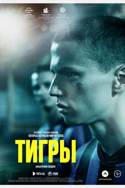 Тигры смотреть онлайн - FanFilm4K Тигры постер