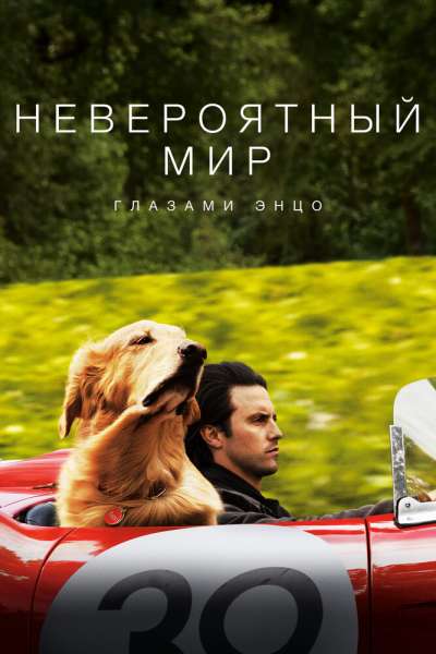 Невероятный мир глазами Энцо смотреть онлайн - FanFilm4K Невероятный мир глазами Энцо постер