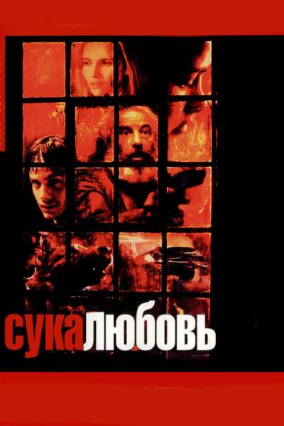 Сука-любовь смотреть онлайн - FanFilm4K Сука-любовь постер