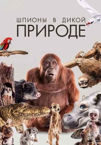 Шпионы в дикой природе смотреть онлайн - FanFilm4K Шпионы в дикой природе постер