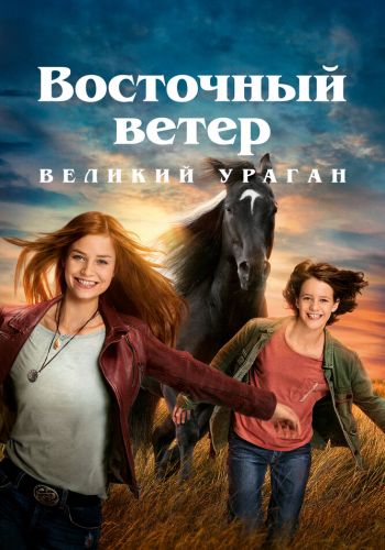 Восточный ветер. Великий ураган смотреть онлайн - FanFilm4K Восточный ветер. Великий ураган постер