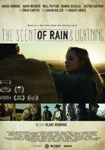 Запах дождя и молнии смотреть онлайн - FanFilm4K Запах дождя и молнии постер