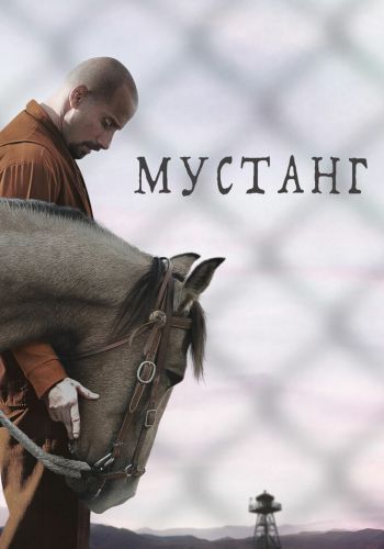 Мустанг смотреть онлайн - FanFilm4K Мустанг постер
