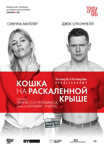 Кошка на раскалённой крыше смотреть онлайн - FanFilm4K Кошка на раскалённой крыше постер