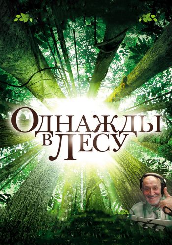 Однажды в лесу смотреть онлайн - FanFilm4K Однажды в лесу постер