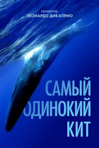 Самый одинокий кит на планете: в поисках Пятидесятидвухгерцового кита смотреть онлайн - FanFilm4K Самый одинокий кит на планете: в поисках Пятидесятидвухгерцового кита постер