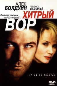 Хитрый вор смотреть онлайн - FanFilm4K Хитрый вор постер
