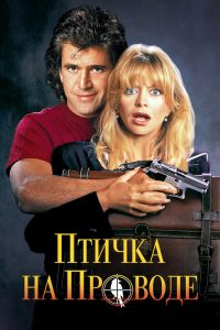 Птичка на проводе смотреть онлайн - FanFilm4K Птичка на проводе постер