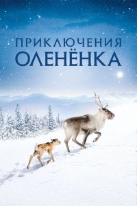 Приключения оленёнка смотреть онлайн - FanFilm4K Приключения оленёнка постер