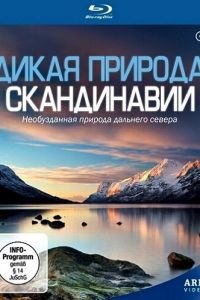 Дикая природа Скандинавии смотреть онлайн - FanFilm4K Дикая природа Скандинавии постер
