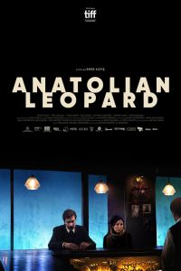  Анатолийский леопард  постер 4К
