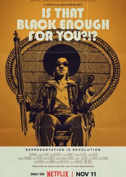 Расцвет афроамериканского кино смотреть онлайн - FanFilm4K Расцвет афроамериканского кино постер