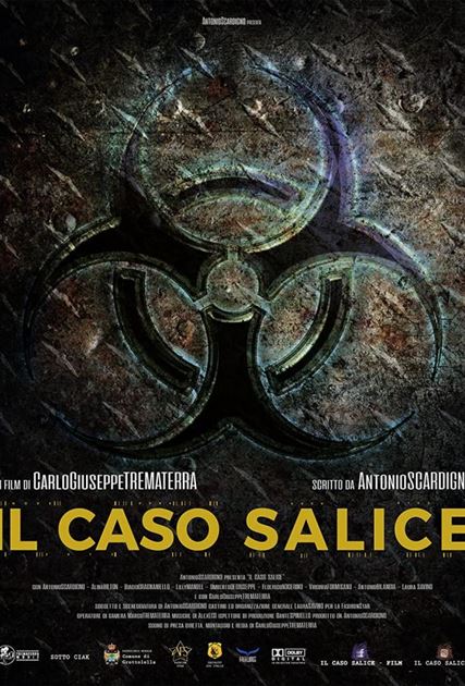 Дело Саличе смотреть онлайн - FanFilm4K Дело Саличе постер