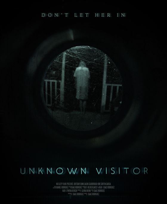 Незнакомый гость смотреть онлайн - FanFilm4K Незнакомый гость постер
