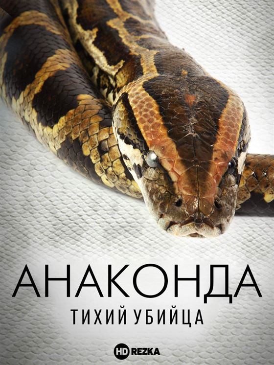 Анаконда: Тихий убийца смотреть онлайн - FanFilm4K Анаконда: Тихий убийца постер