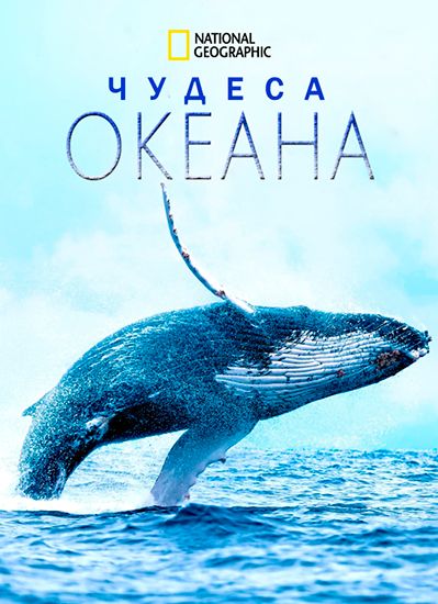 Чудеса океана смотреть онлайн - FanFilm4K Чудеса океана постер