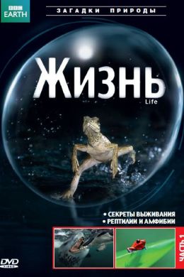 BBC: Жизнь смотреть онлайн - FanFilm4K BBC: Жизнь постер