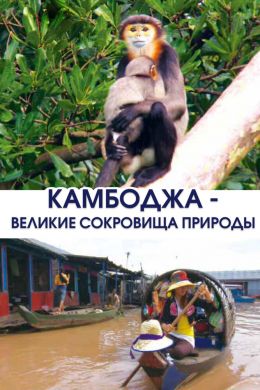 Камбоджа - великие сокровища природы смотреть онлайн - FanFilm4K Камбоджа - великие сокровища природы постер