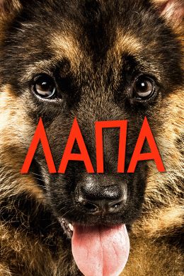 Лапа смотреть онлайн - FanFilm4K Лапа постер