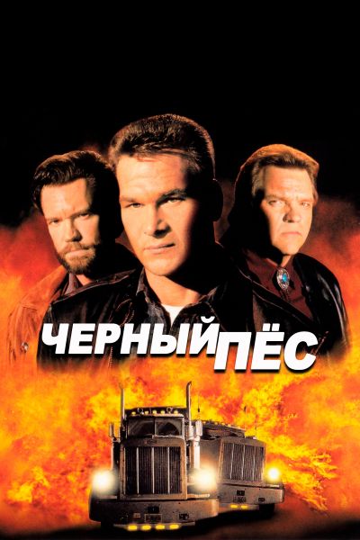 Черный пес постер