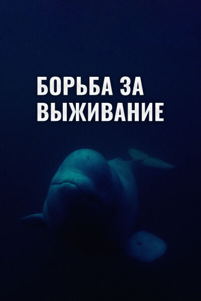 Борьба за выживание смотреть онлайн - FanFilm4K Борьба за выживание постер