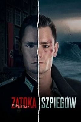 Шпионский залив смотреть онлайн - FanFilm4K Шпионский залив постер