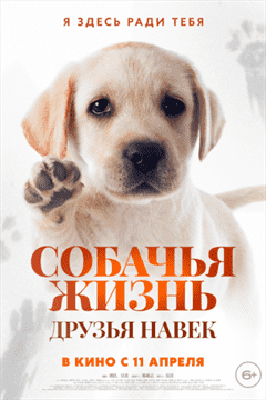 Собачья жизнь: Друзья навек постер 4К