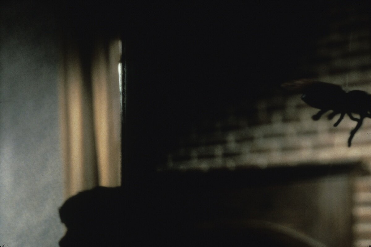 Кадр 2 из Амитивилль 3-D Амитивилль 3-D (1983) Постер 2