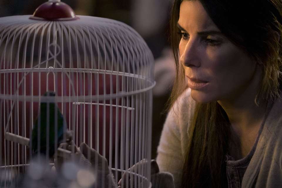 Кадр 5 из Птичий короб Птичий короб (2018) Постер 5