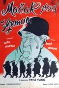  Кот под шлемом  постер
