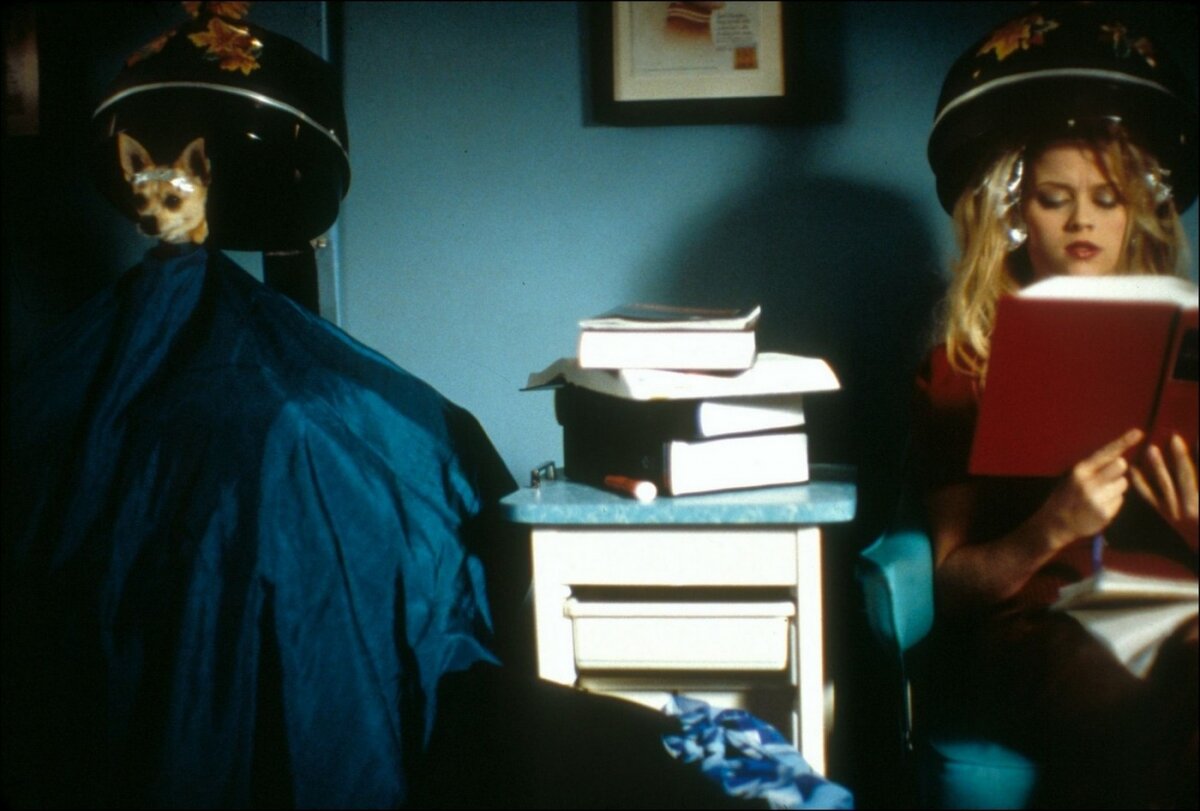 Кадр 3 из Блондинка в законе Блондинка в законе (2001) Постер 3
