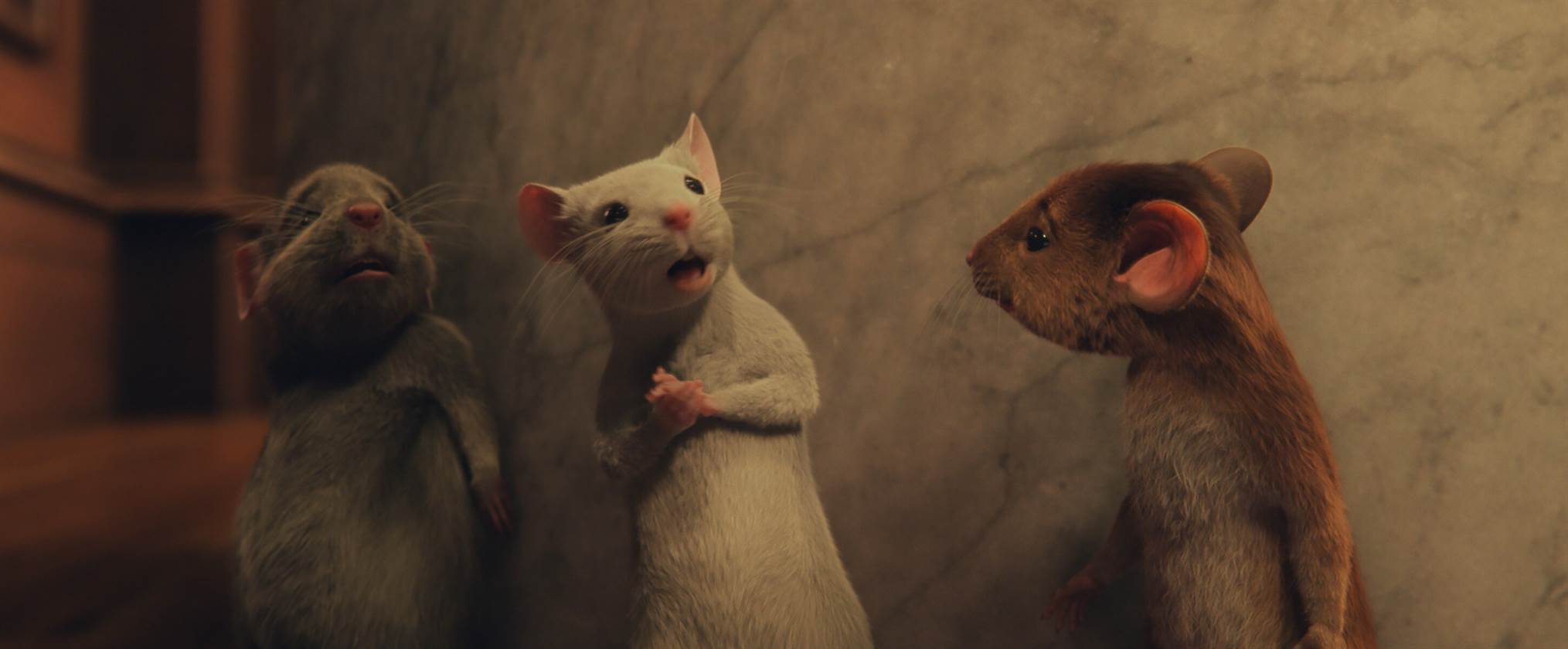 Кадр 3 из Ведьмы Ведьмы (2020) Постер 3