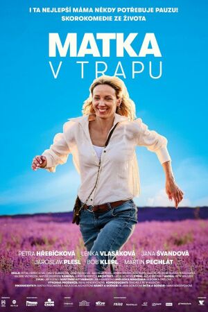 Мать в ловушке смотреть онлайн - FanFilm4K Мать в ловушке постер