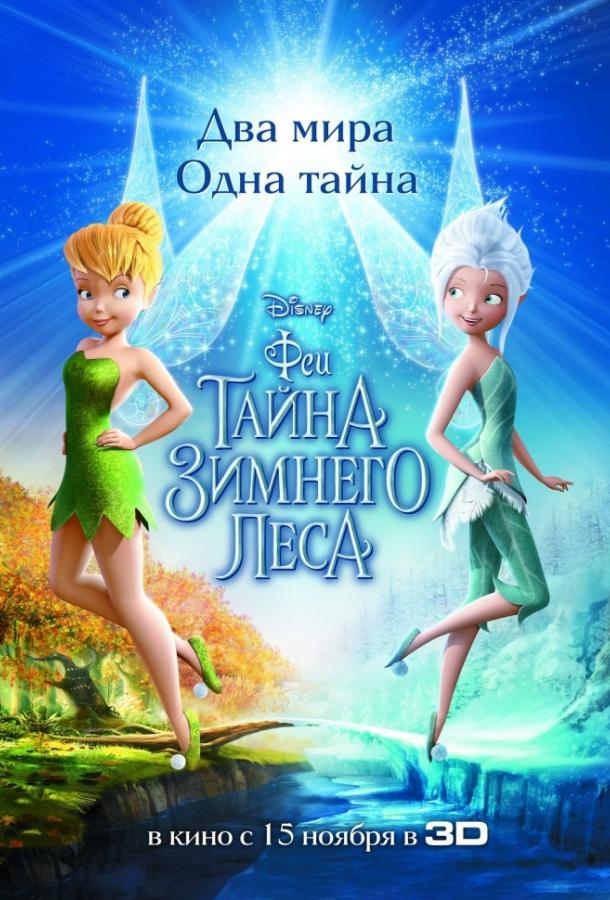 Феи: Тайна зимнего леса постер 4К