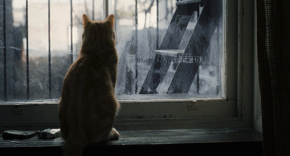 Кадр 2 из Внутри Льюина Дэвиса Внутри Льюина Дэвиса (2012) Постер 2