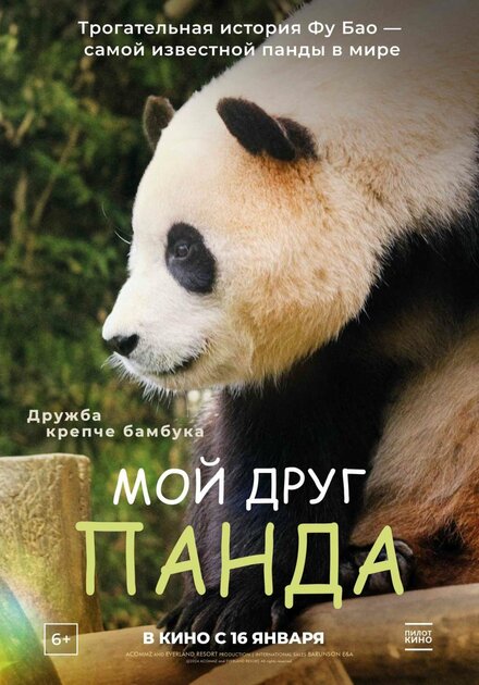 Мой друг панда постер 4К