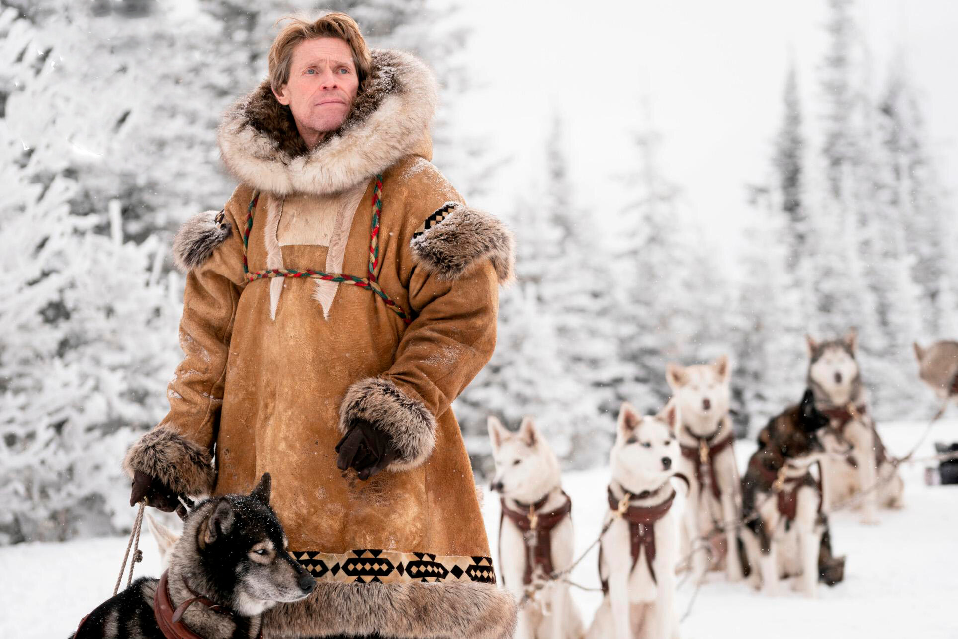 Кадр 4 из Того Того (2019) Постер 4