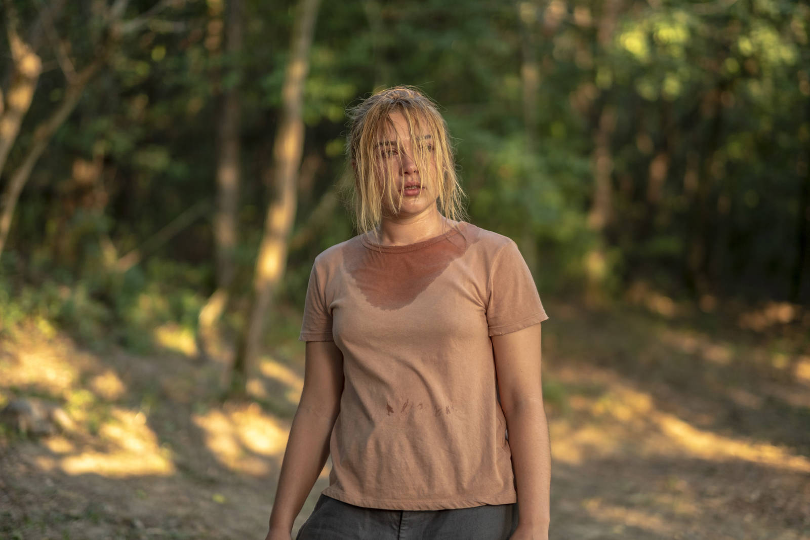 Кадр 1 из Солнцестояние Солнцестояние (2019) Постер 1