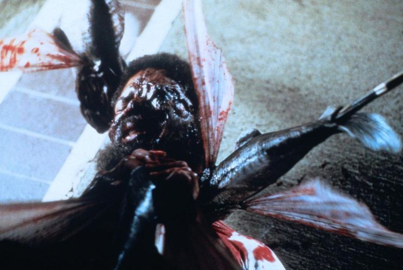 Кадр 5 из Пираньи 2: Нерест Пираньи 2: Нерест (1982) Постер 5